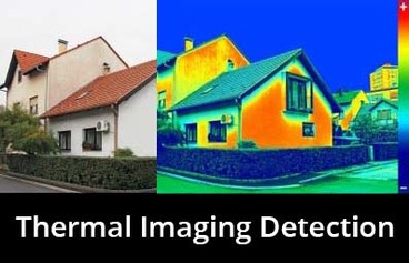 thermal imaging detection